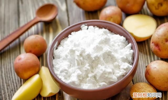 细胞中的糖类和脂质如何快速记忆