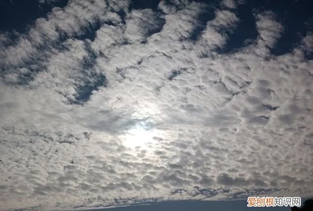 鸡腿最好吃的做法,香气扑鼻简单又解馋,1次9个都不够吃