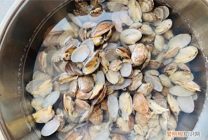 花甲怎么洗才干净