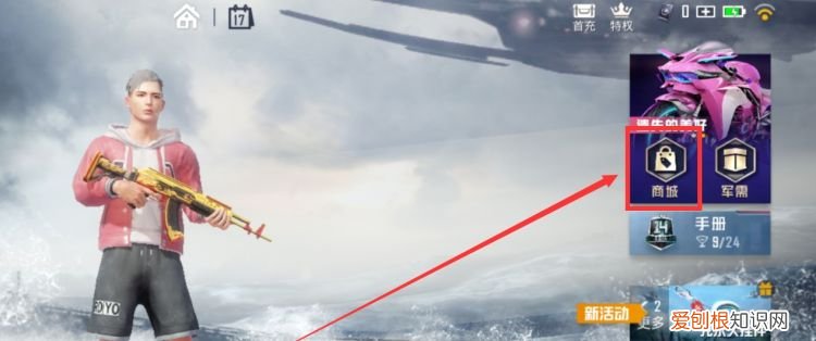 和平精英怎么改单字id