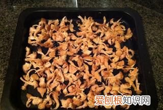 正宗猴头菇粉 自制猴头菇饼干