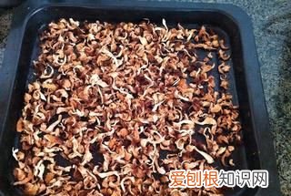 正宗猴头菇粉 自制猴头菇饼干