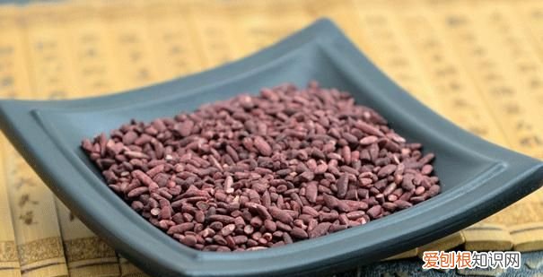 红曲米有什么功效怎么吃,高粱米的作用功效