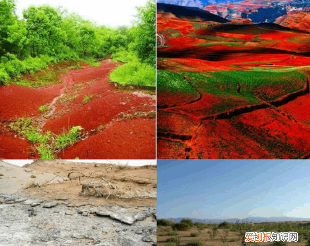 金坷垃的真实成分到底是什么