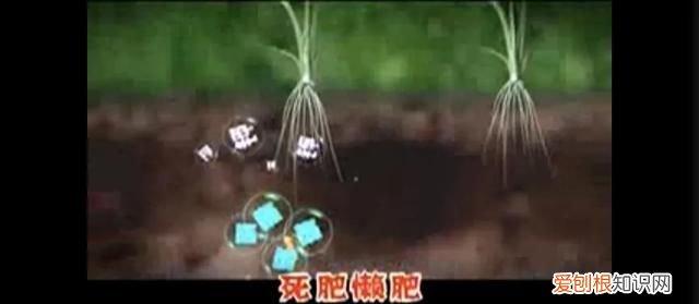 金坷垃的真实成分到底是什么