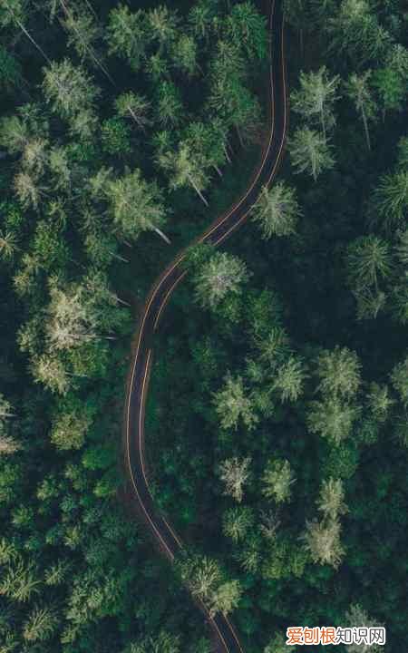 汽车轮胎没气了还能开多远，汽车轮胎没气了继续跑有什么后果