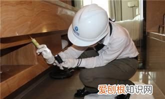 如果家里有蟑螂怎么样才能消灭它