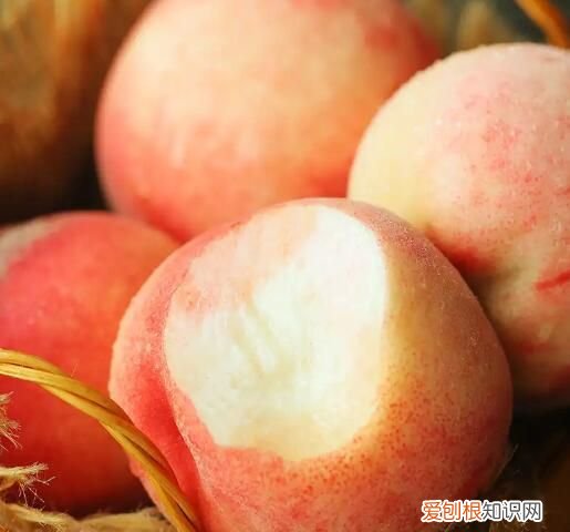 水蜜桃如何保存长久些?