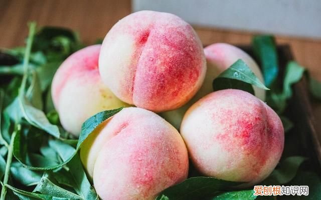 水蜜桃如何保存长久些?