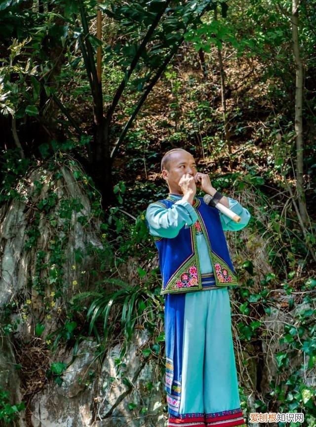 云南大理蝴蝶泉是最著名的,大理古城有哪些玩的