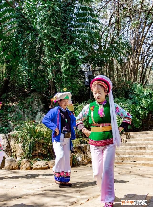 云南大理蝴蝶泉是最著名的,大理古城有哪些玩的