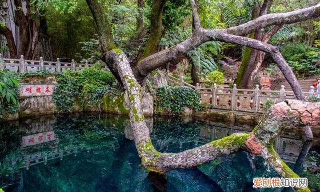 云南大理蝴蝶泉是最著名的,大理古城有哪些玩的