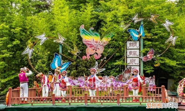 云南大理蝴蝶泉是最著名的,大理古城有哪些玩的