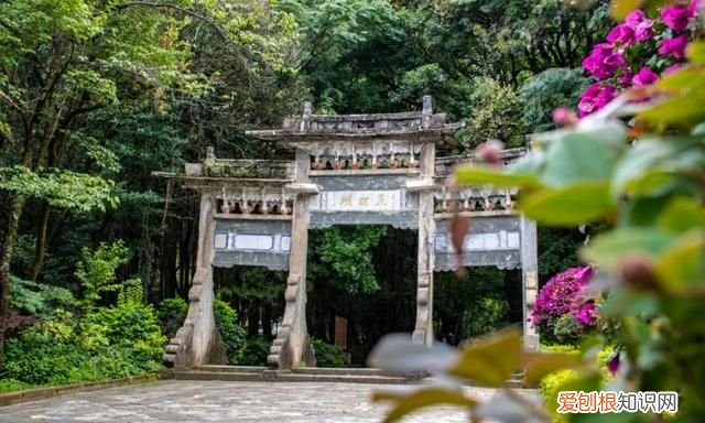 云南大理蝴蝶泉是最著名的,大理古城有哪些玩的