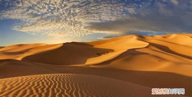 为什么不把沙漠的沙子用来建房子