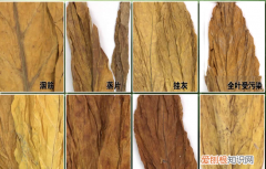 烟织是好是坏，云南有树烟像树杆被弄成一条一条的云南得特产有没有知道是什么东西的麻烦