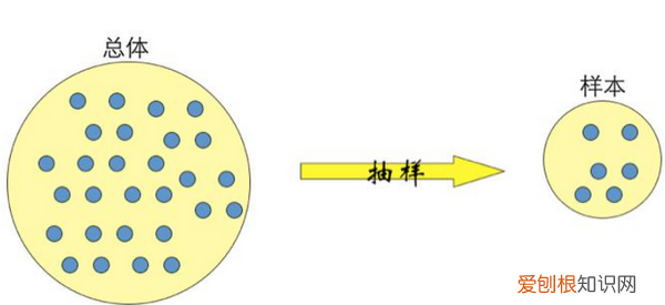 系统抽样和分层抽样的区别