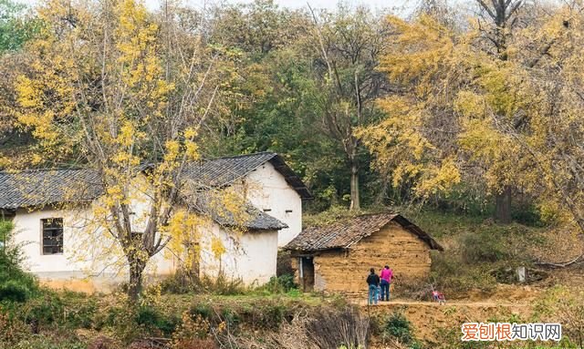 门要常开户常闭是什么意思