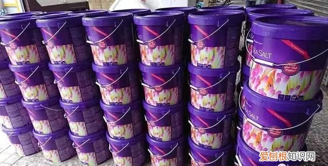 养海水鱼的水,到底是盐水还是食用盐