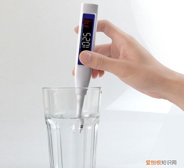 养海水鱼的水,到底是盐水还是食用盐