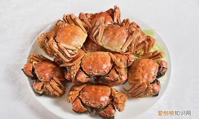 隔夜菜放冰箱能不能吃,专家实验后说出了实情