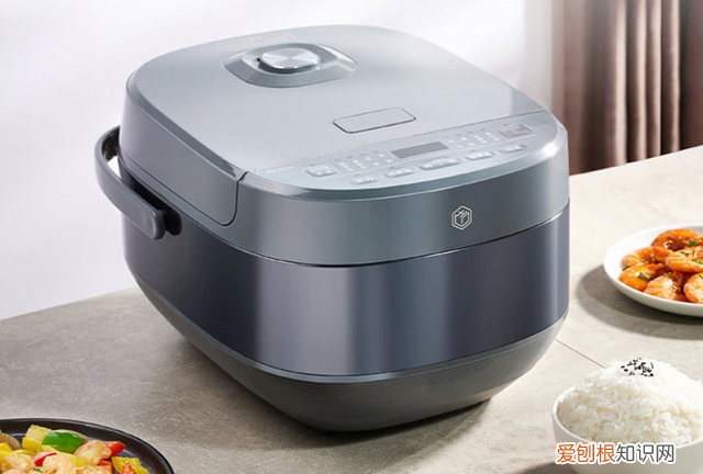 电饭煲和电压力锅哪个适合家用