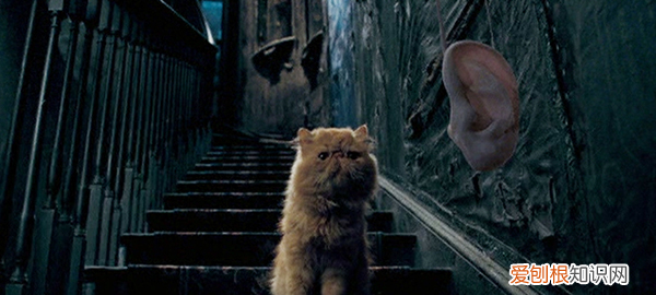 哈利波特中的恶作剧道具,哈利波特造型彩蛋