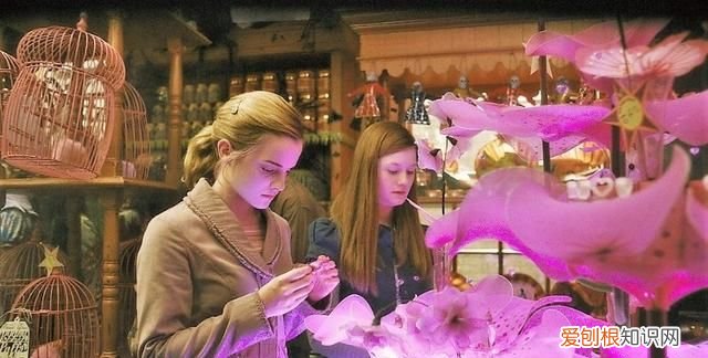 哈利波特中的恶作剧道具,哈利波特造型彩蛋