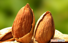 果仁壳能吃吗 它的壳有毒,你还敢吃吗英文