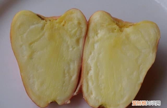 果仁壳能吃吗 它的壳有毒,你还敢吃吗英文