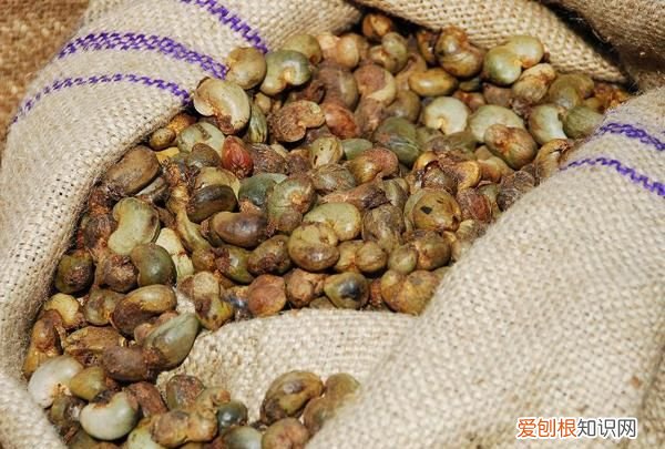 果仁壳能吃吗 它的壳有毒,你还敢吃吗英文