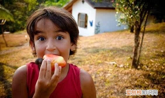 果仁壳能吃吗 它的壳有毒,你还敢吃吗英文