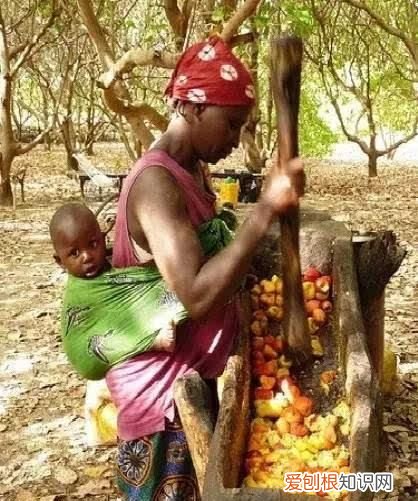 果仁壳能吃吗 它的壳有毒,你还敢吃吗英文