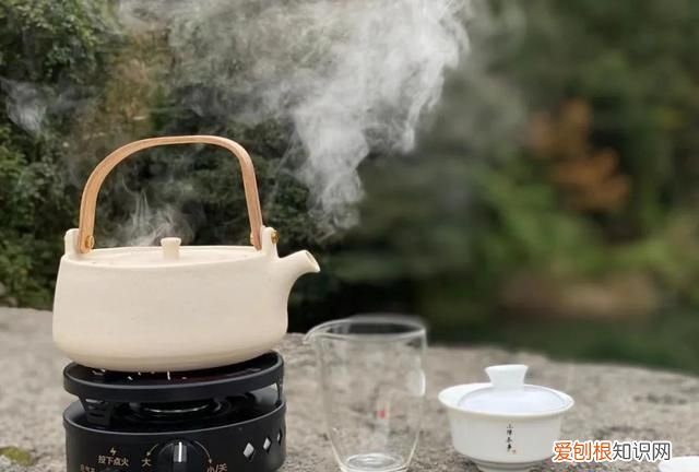 煮老白茶哪种壶最好