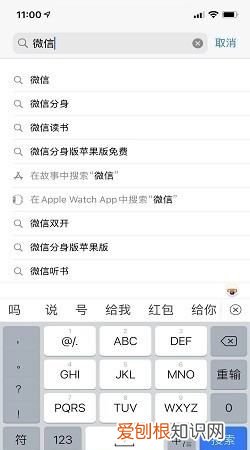 苹果手机不能安装软件怎么办,苹果手机怎么样才可以安装微信