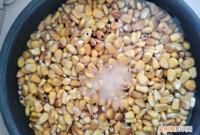 发酵玉米怎么保存多久,玉米除了发酵还可以怎么做