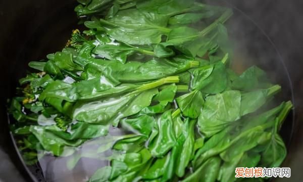你做菜时会提前焯水吗,煮菠菜汤需要提前焯水吗