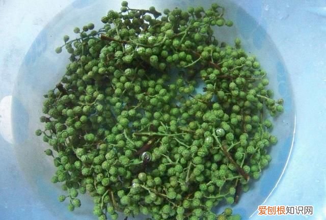 青花椒与红花椒哪个更麻更香,红花椒和青花椒味道有什么区别