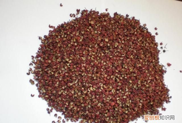 青花椒与红花椒哪个更麻更香,红花椒和青花椒味道有什么区别