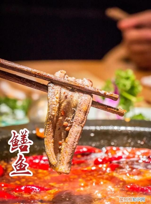 朋友聚餐吃什么底料的火锅