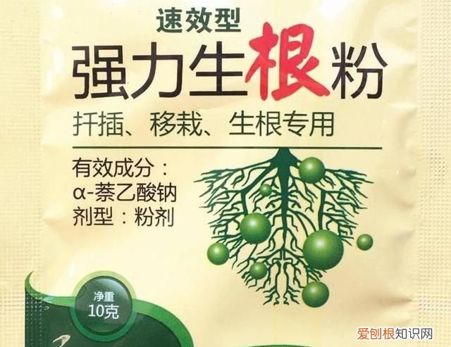 生根粉的作用和使用方法,买的花草种上了生根粉怎么用杀菌