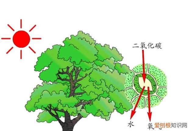太阳光的能量可以融化地球么