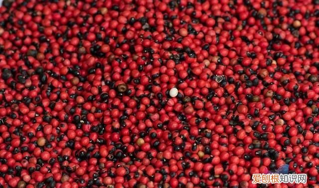 现成开袋即食的红豆可以经常吃吗