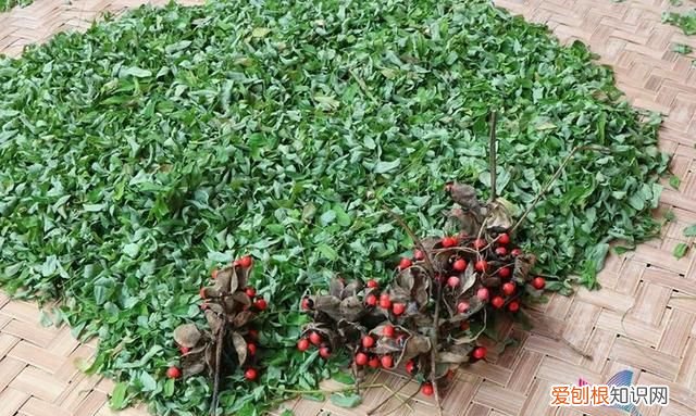 现成开袋即食的红豆可以经常吃吗