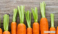 胡萝卜的功效，胡萝卜喂羊有啥好处和坏处