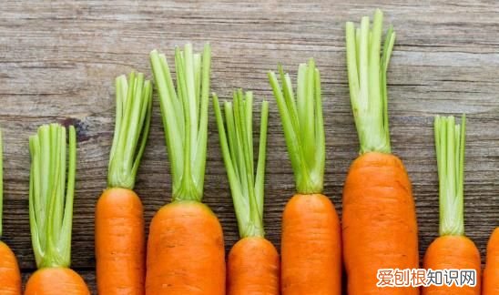 胡萝卜的功效,胡萝卜喂羊有啥好处和坏处