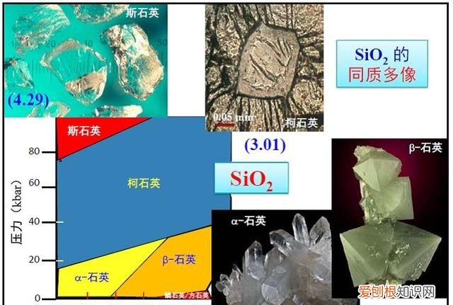 石头家族的龙族 石头大家族