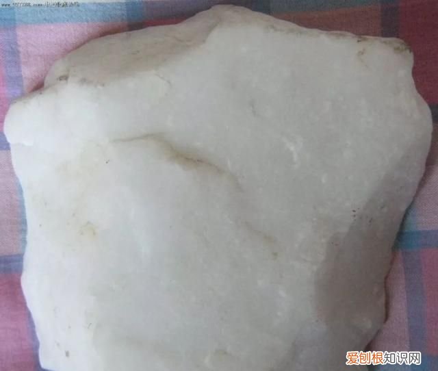 石头家族的龙族 石头大家族