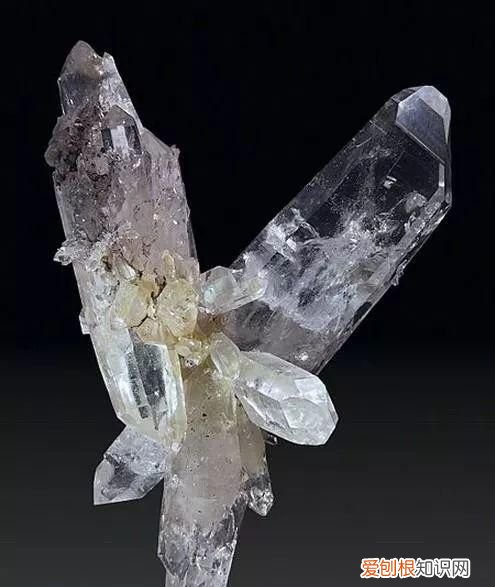 石头家族的龙族 石头大家族