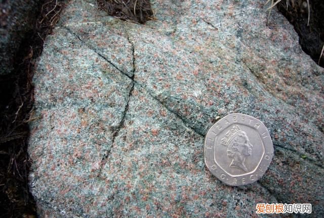 石头家族的龙族 石头大家族